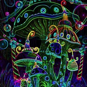 Meet your Posher, Violet